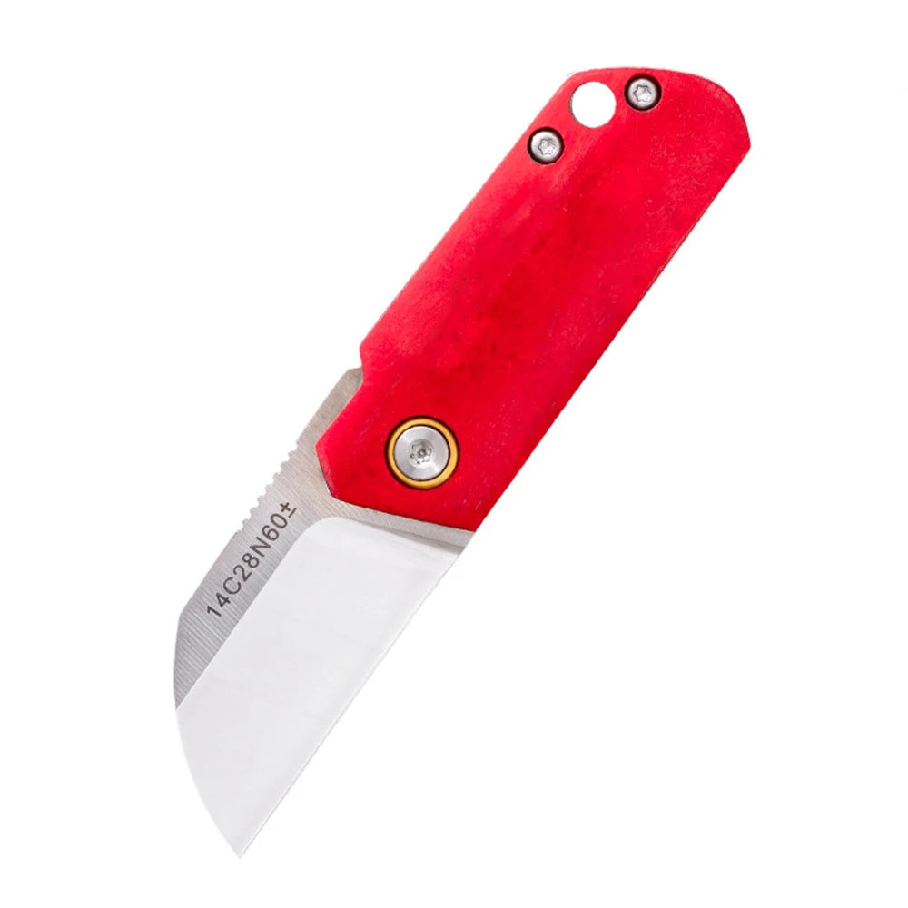 Couteau de Poche Mini Tactique – Lame Inox 14C28N & Manche en Os Blanc