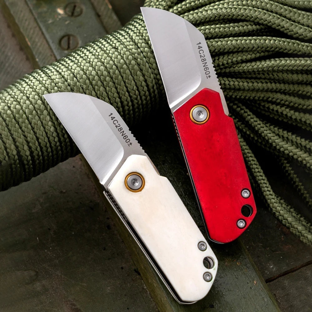 Couteau de Poche Mini Tactique – Lame Inox 14C28N & Manche en Os Blanc