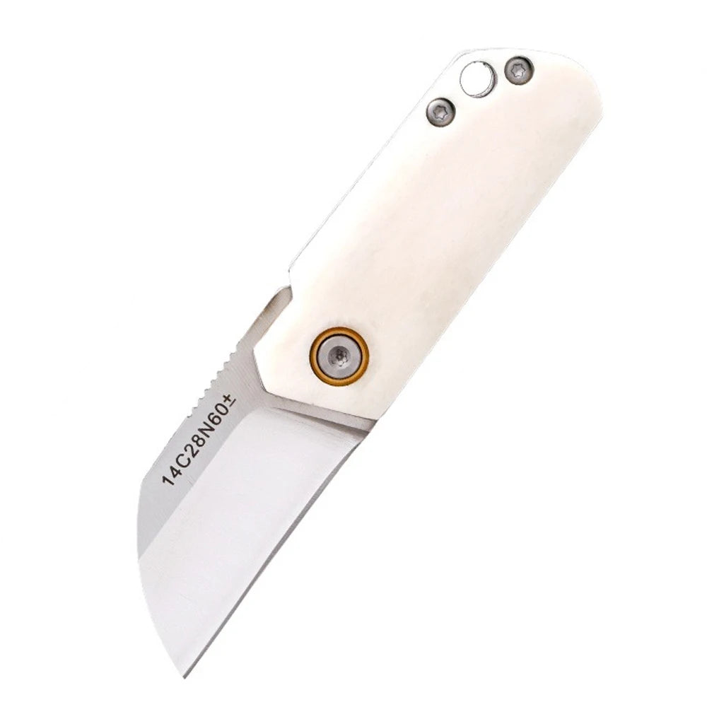 Couteau de Poche Mini Tactique – Lame Inox 14C28N & Manche en Os Blanc