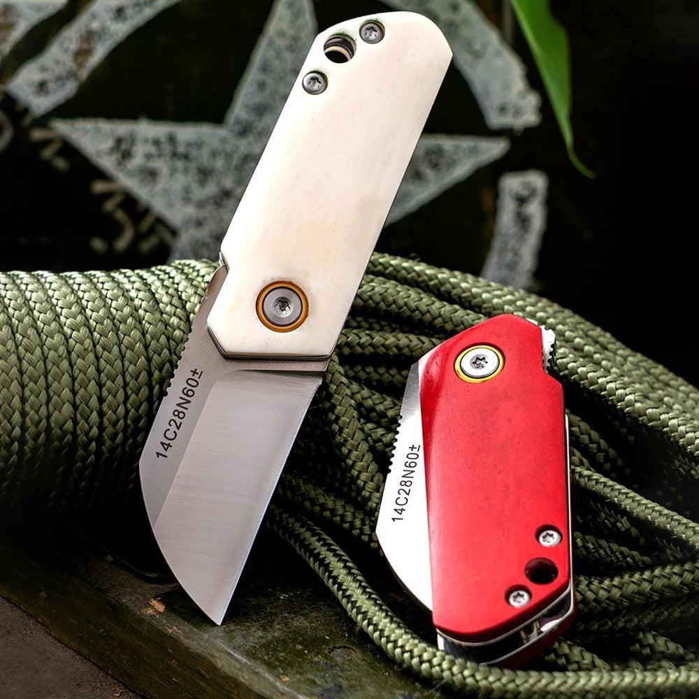 Couteau de Poche Mini Tactique – Lame Inox 14C28N & Manche en Os Blanc